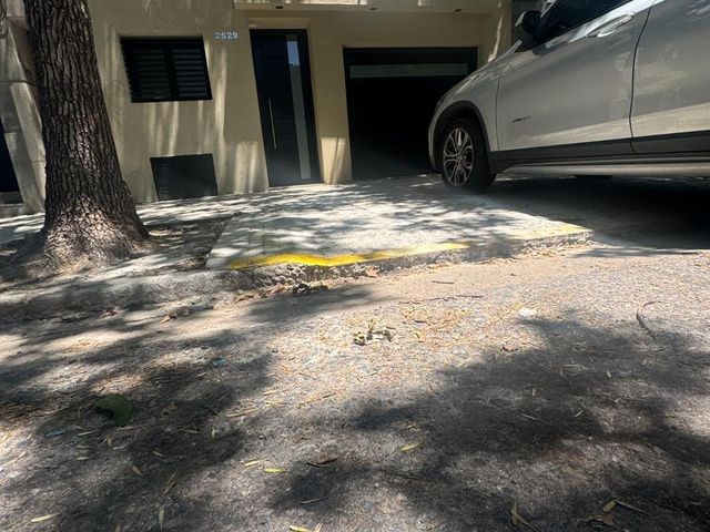 place photo 39