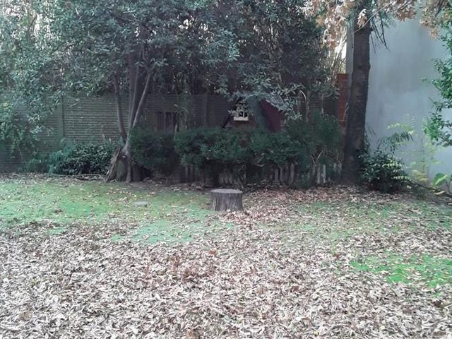 place photo 35