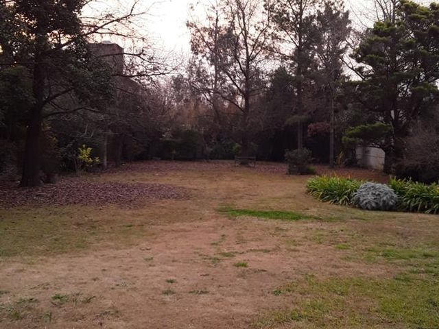 place photo 36