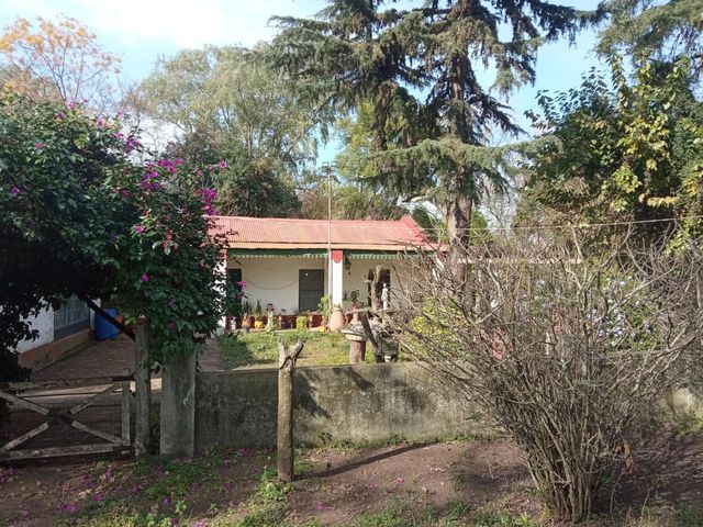 place photo 24