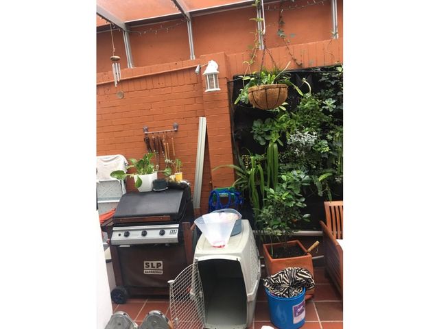 place photo 14