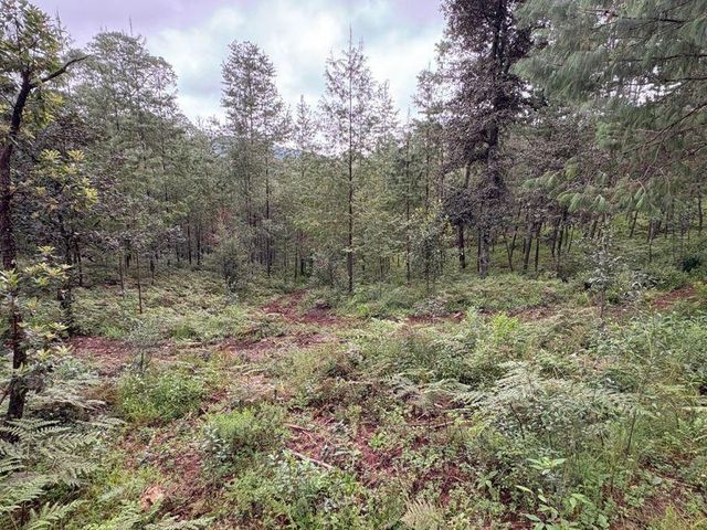 place photo 31