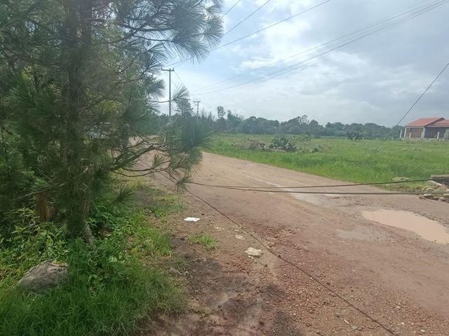 place photo 31
