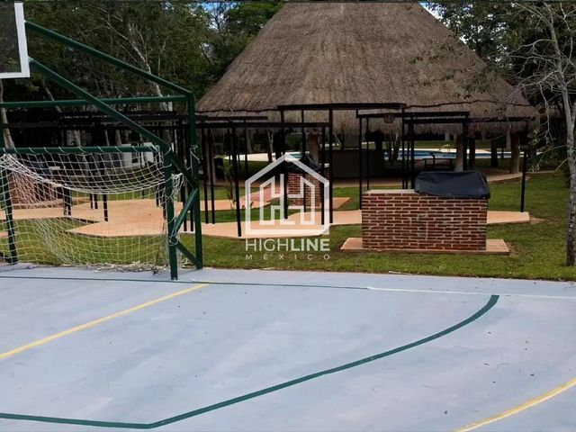 place photo 20