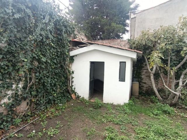 place photo 16