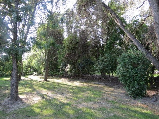place photo 42
