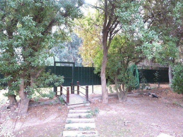 place photo 58