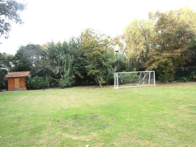 place photo 62