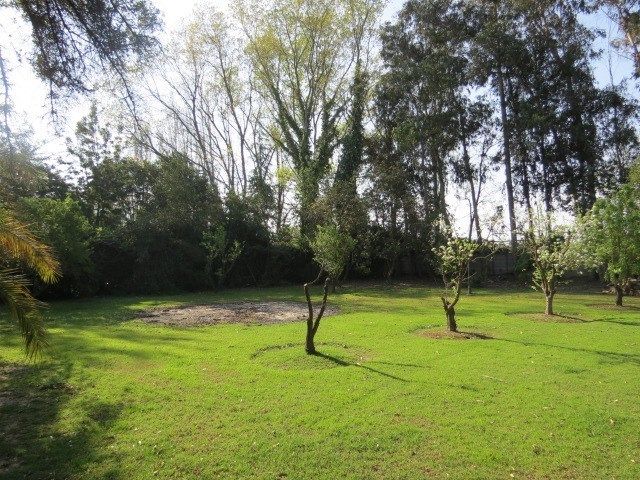 place photo 41
