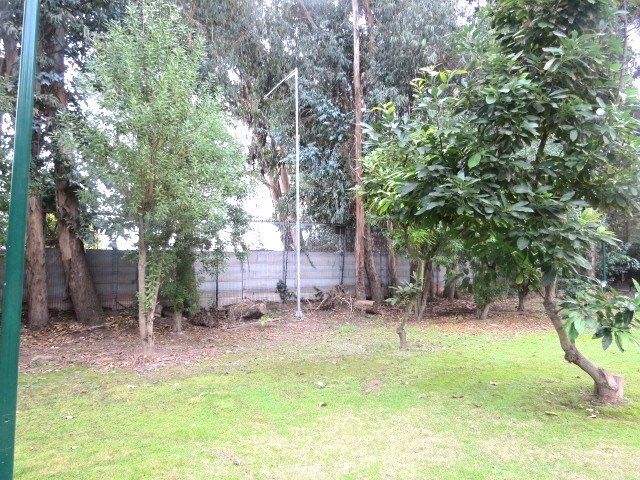 place photo 61