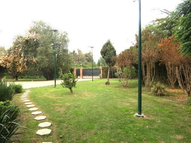 place photo 51