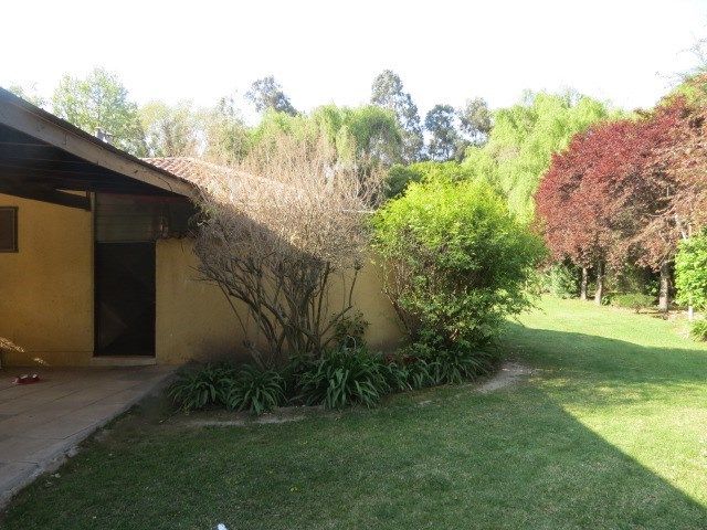 place photo 46