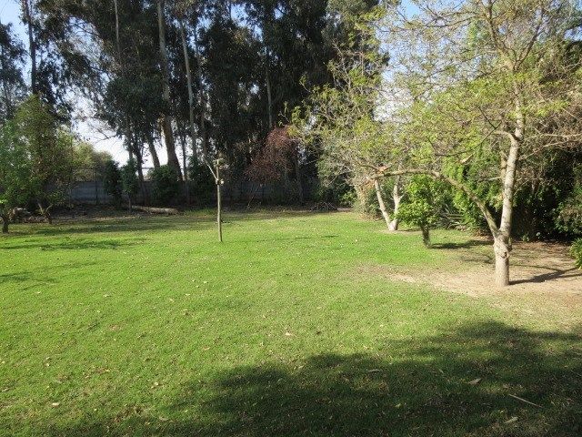 place photo 40
