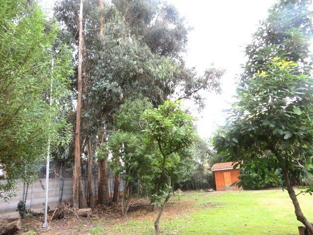place photo 65