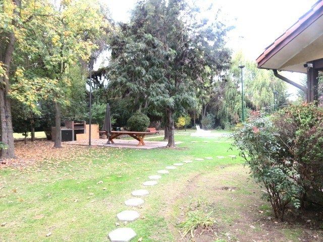 place photo 52
