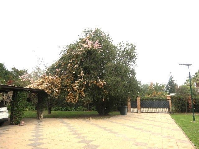place photo 50