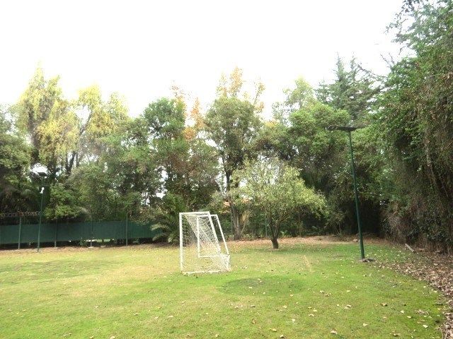 place photo 63