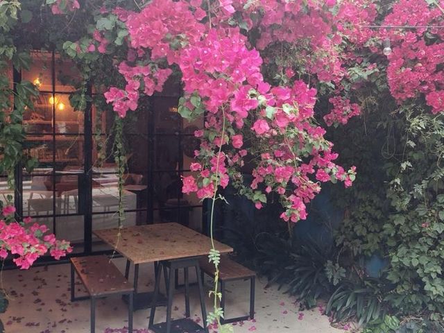 place photo 35