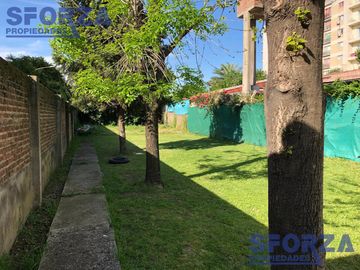 place photo 16