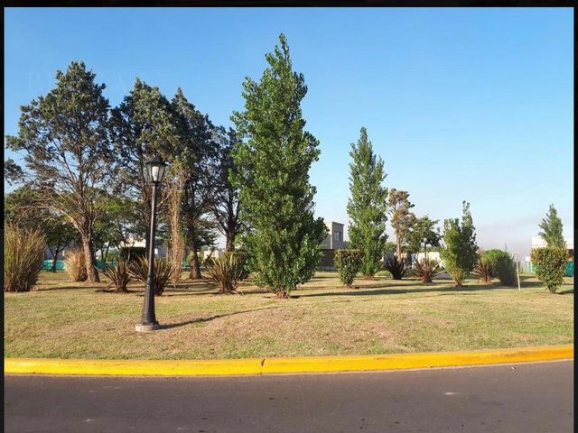 place photo 22