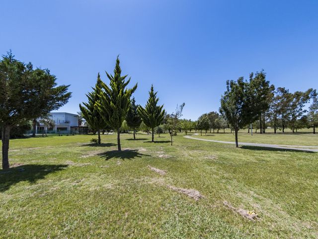 place photo 41