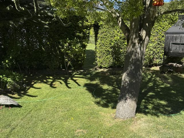 place photo 31