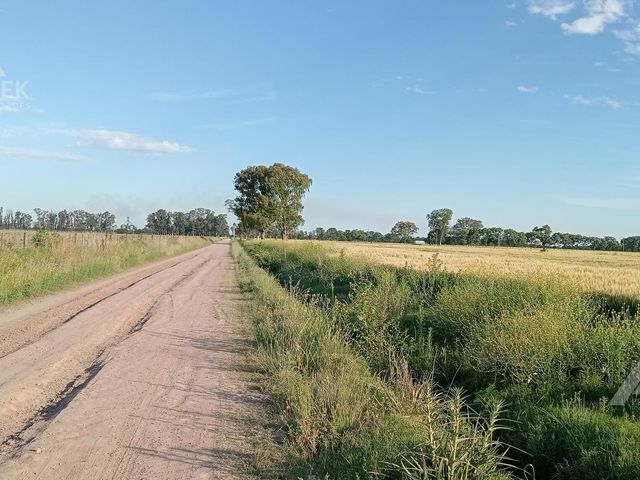 place photo 25