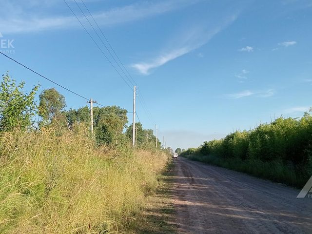 place photo 21