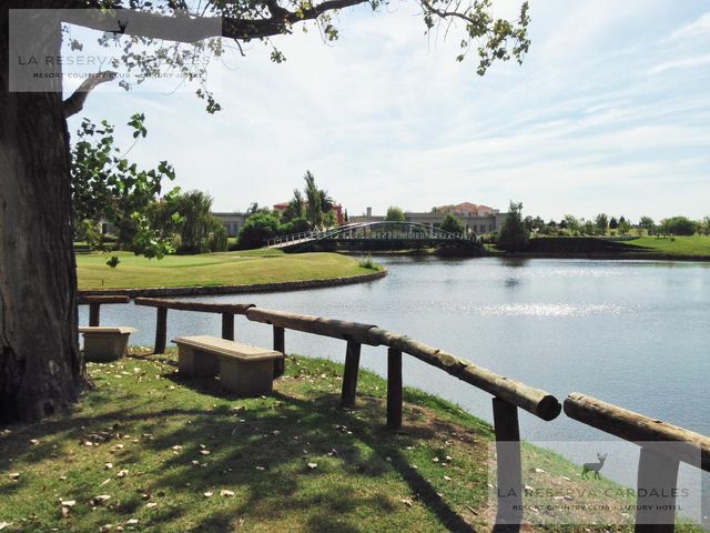 place photo 35
