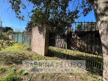 place photo 14
