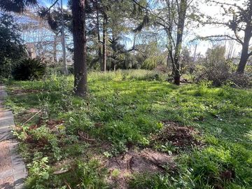 place photo 27