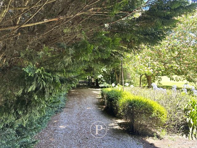 place photo 41