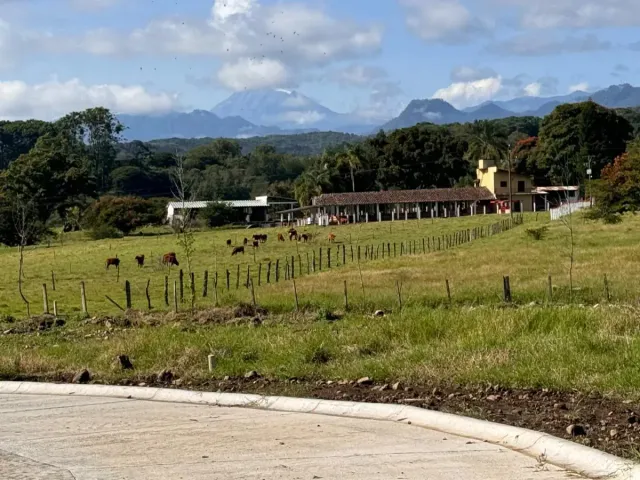 place photo 31
