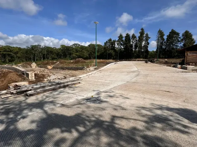 place photo 18