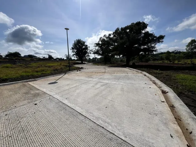 place photo 29