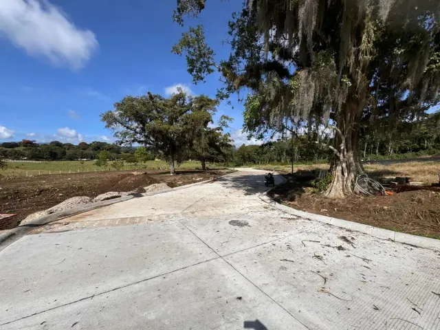 place photo 25