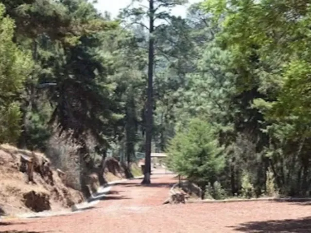 place photo 31