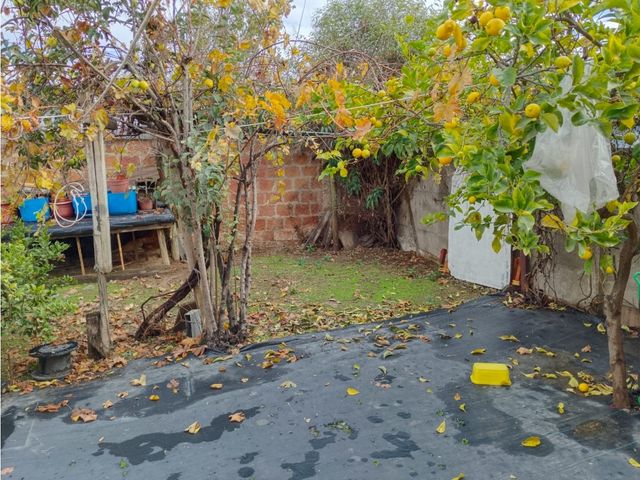 place photo 23