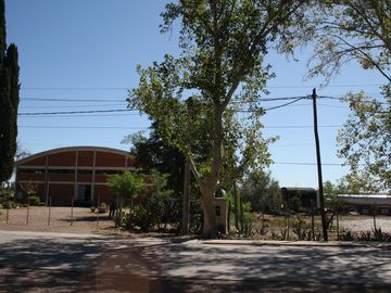 place photo 24