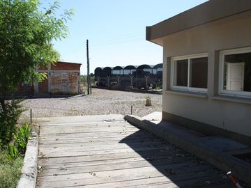 place photo 19