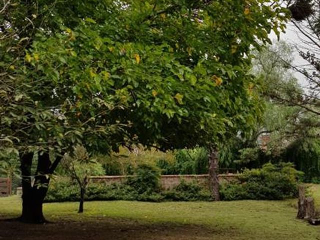 place photo 25