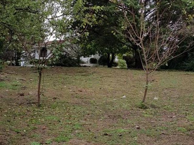 place photo 48