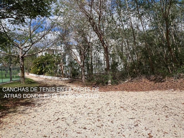 place photo 8