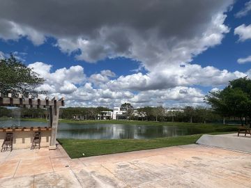 place photo 17