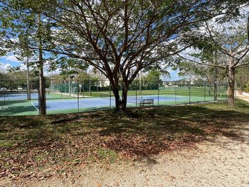 place photo 16