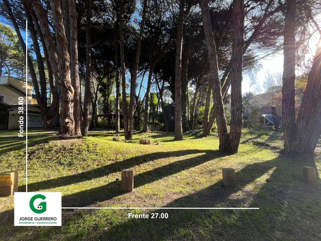 place photo 36