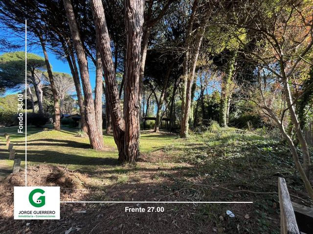 place photo 35
