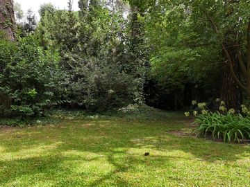 place photo 61