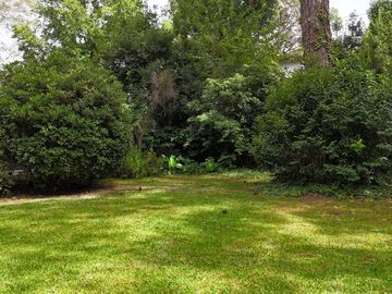 place photo 60