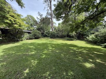place photo 46